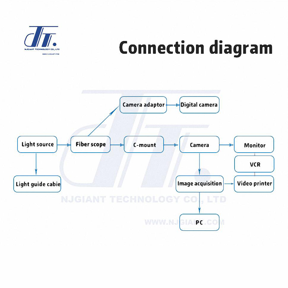 Fiber Optic Video Bronchoscope