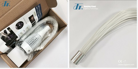 LEDS Fiber Optic Flower Branch Light DIY