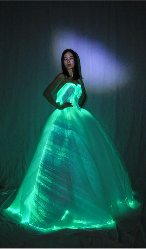 技术参数示意图