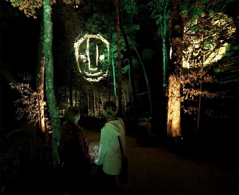 A nighttime adventure exhibition quietly debuted, with a more challenging planning format